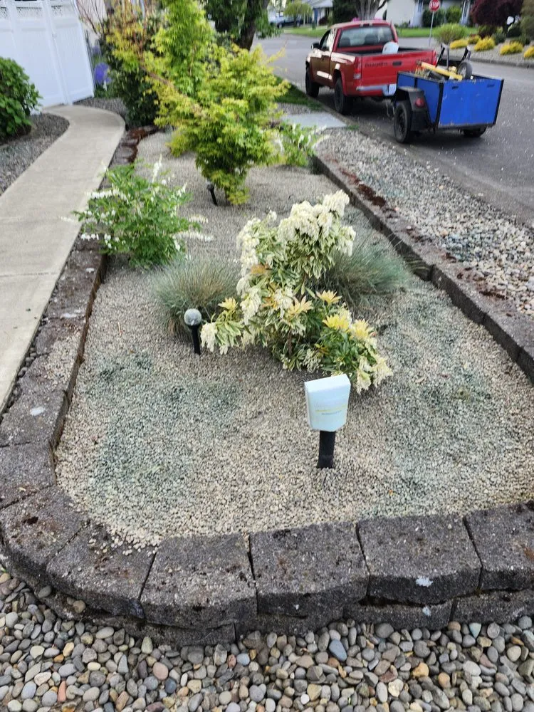 Professional yard cleanup service for year-round maintenance across Canby, OR - Soria All Solutions to Your Lawn