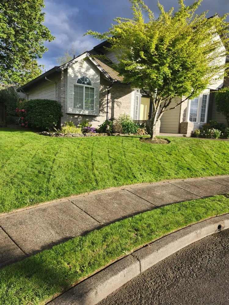Trusted landscape installation for homes across Canby, OR - Soria All Solutions to Your Lawn
