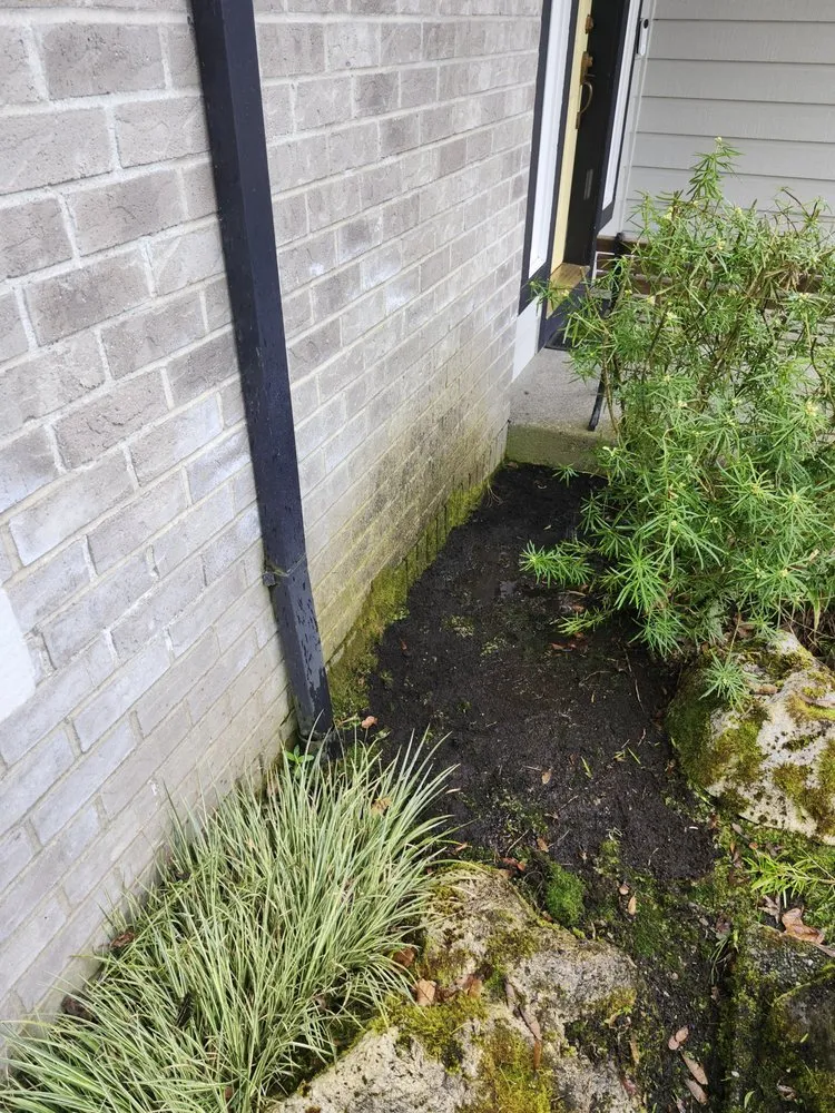 Top-rated lawn mowing service near you in Canby, OR by Soria All Solutions to Your Lawn