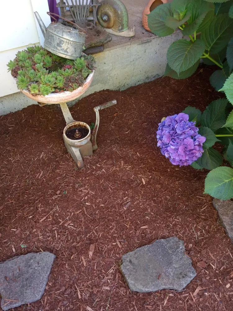 Trusted lawn care service for outdoor upgrades across Canby, OR - Soria All Solutions to Your Lawn