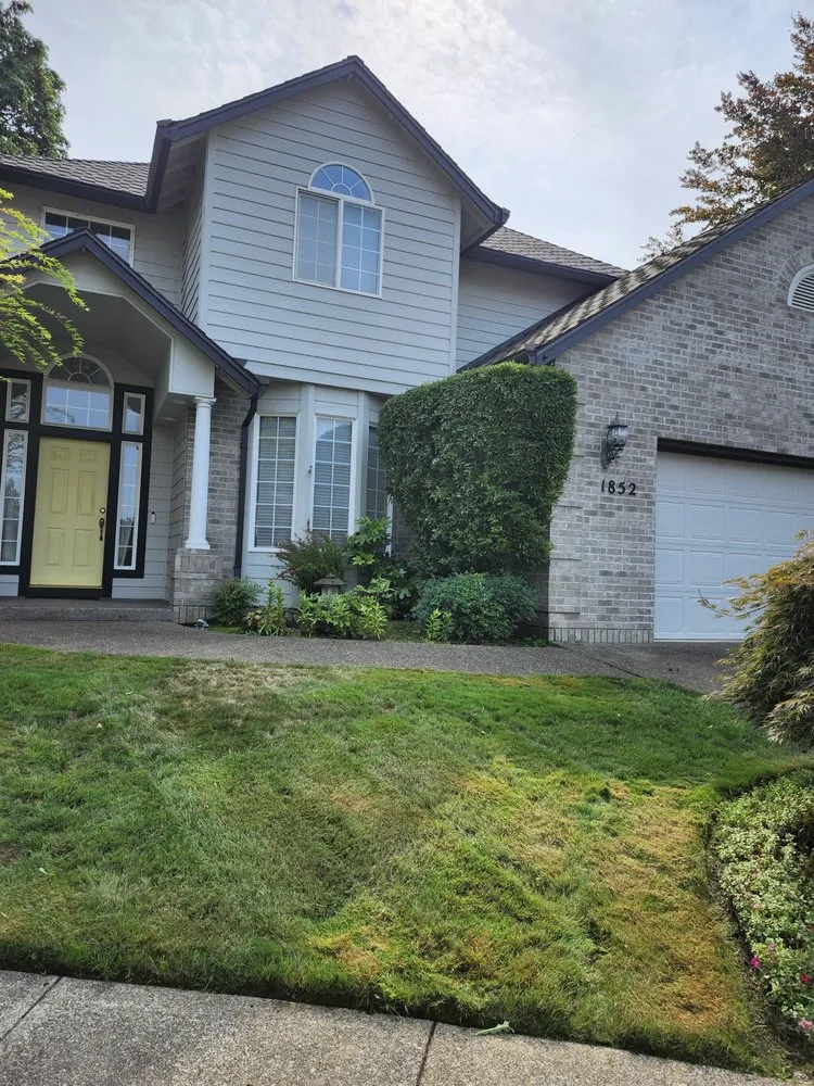 Professional landscape design in Canby, OR - Soria All Solutions to Your Lawn