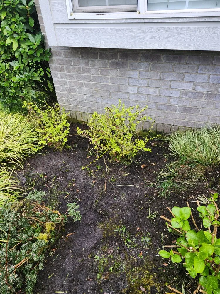 Top-rated lawn mowing service in Canby, OR - Soria All Solutions to Your Lawn