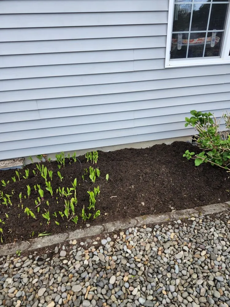 Trusted lawn care service in Canby, OR - Soria All Solutions to Your Lawn