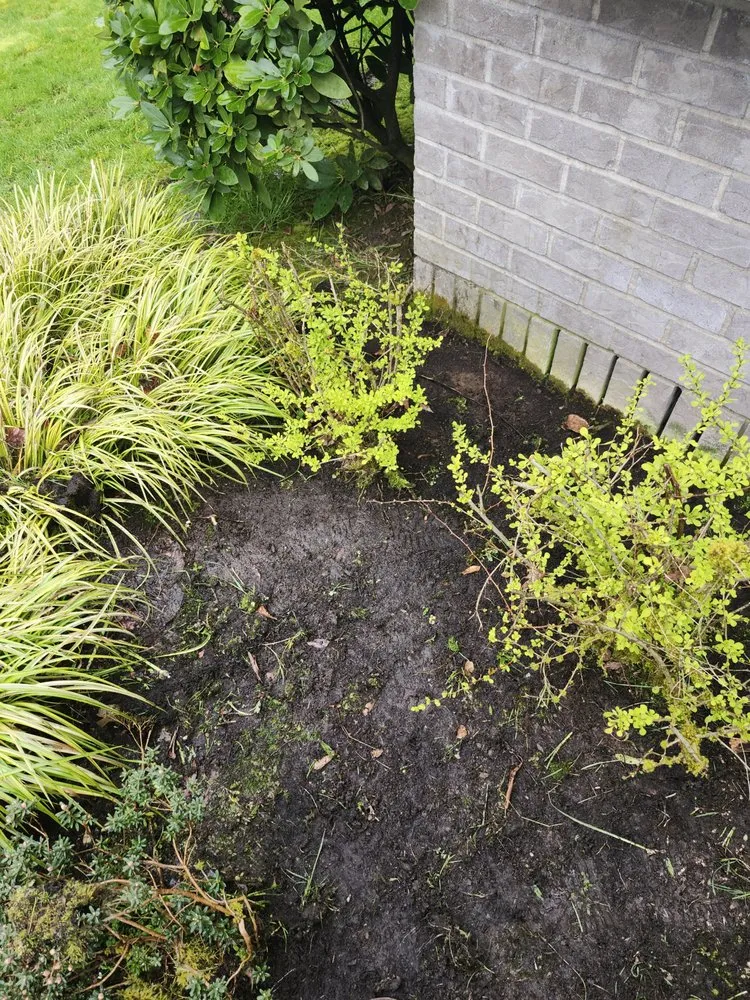 Top-rated landscape design near you in Canby, OR by Soria All Solutions to Your Lawn