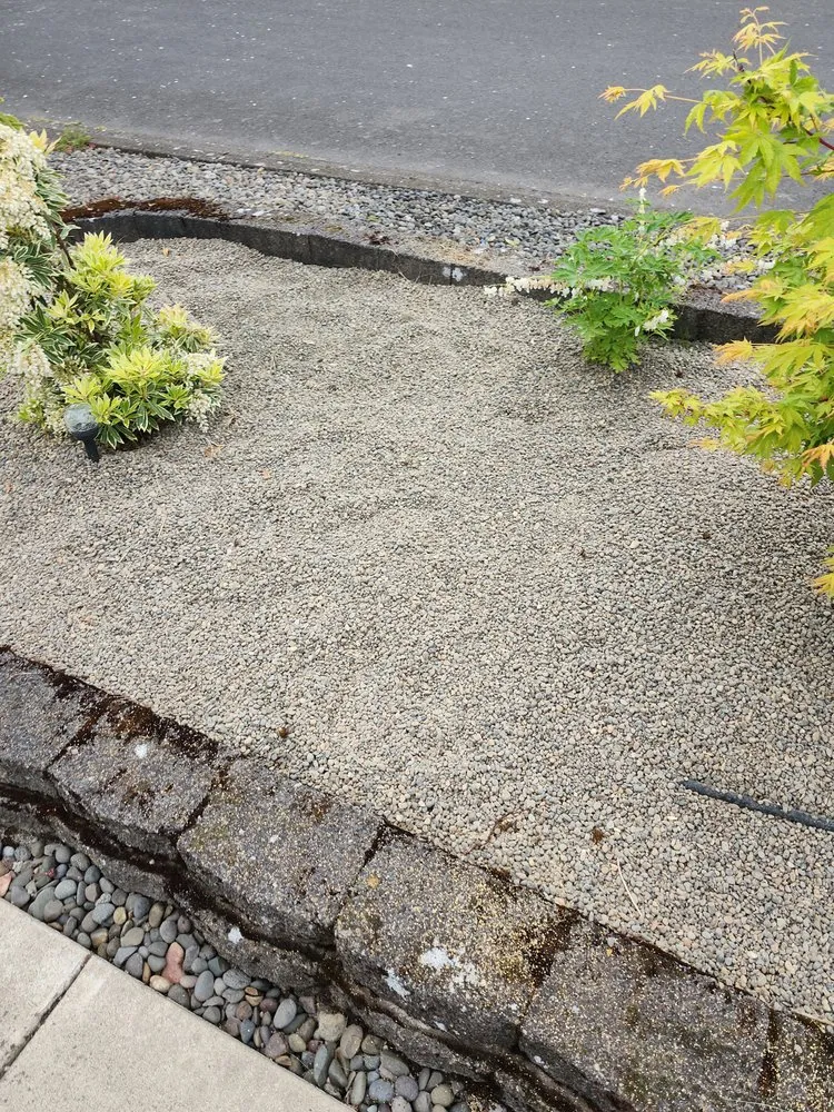 Professional yard cleanup service in Canby, OR by Soria All Solutions to Your Lawn