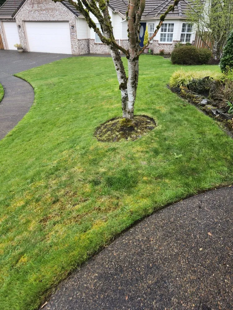 Affordable lawn care service in Canby, OR - Soria All Solutions to Your Lawn
