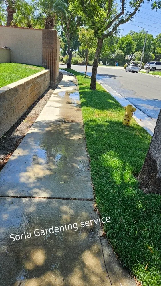 Affordable landscaping services for beautiful yards across Pomona, CA - Soria Gardening Services