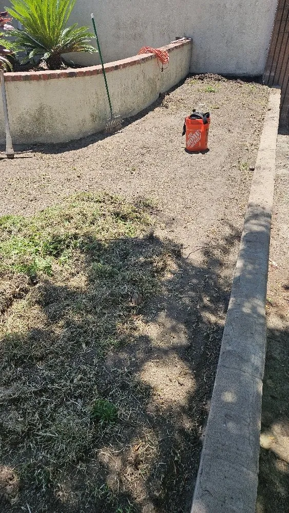 Trusted lawn care service with custom design in Pomona, CA by Soria Gardening Services