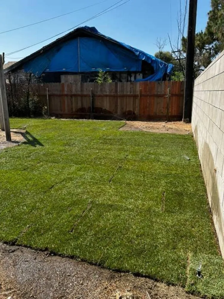 Reliable yard cleanup service experts serving Pomona, CA - Soria Gardening Services