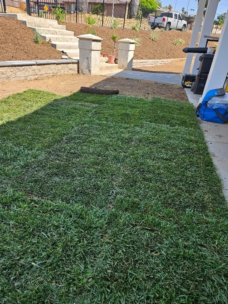 Expert landscape installation for outdoor upgrades in Pomona, CA by Soria Gardening Services