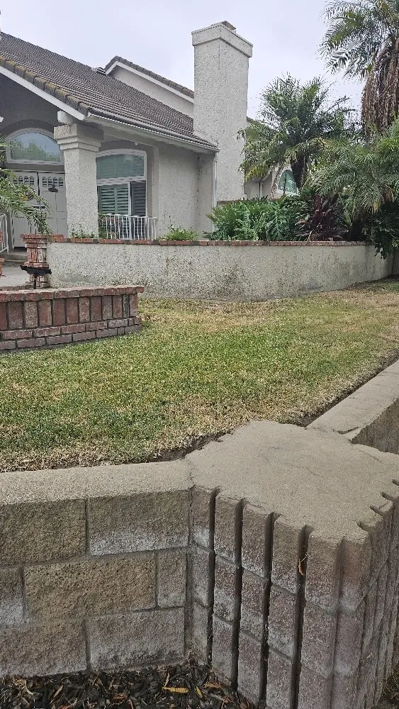 Trusted yard maintenance experts serving Pomona, CA - Soria Gardening Services