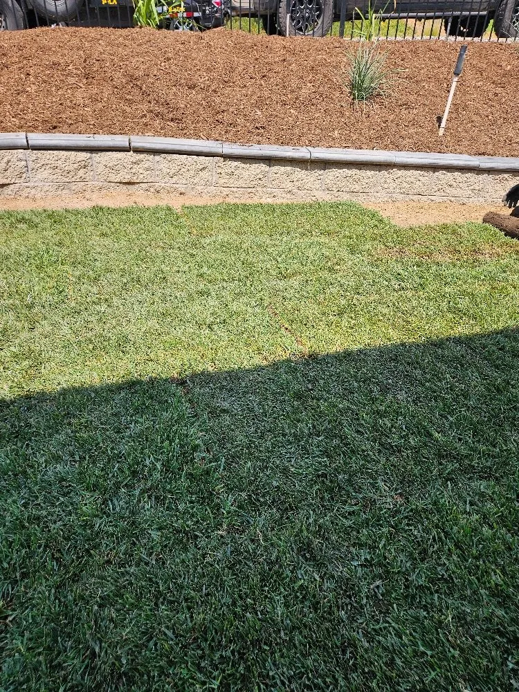 Trusted yard cleanup service near you in Pomona, CA by Soria Gardening Services