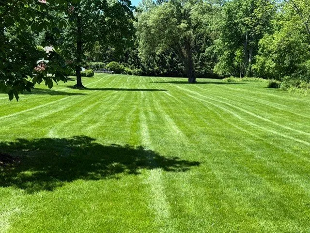 Trusted yard cleanup service for beautiful yards across Forestburgh, NY - Soria Masonry & Landscaping