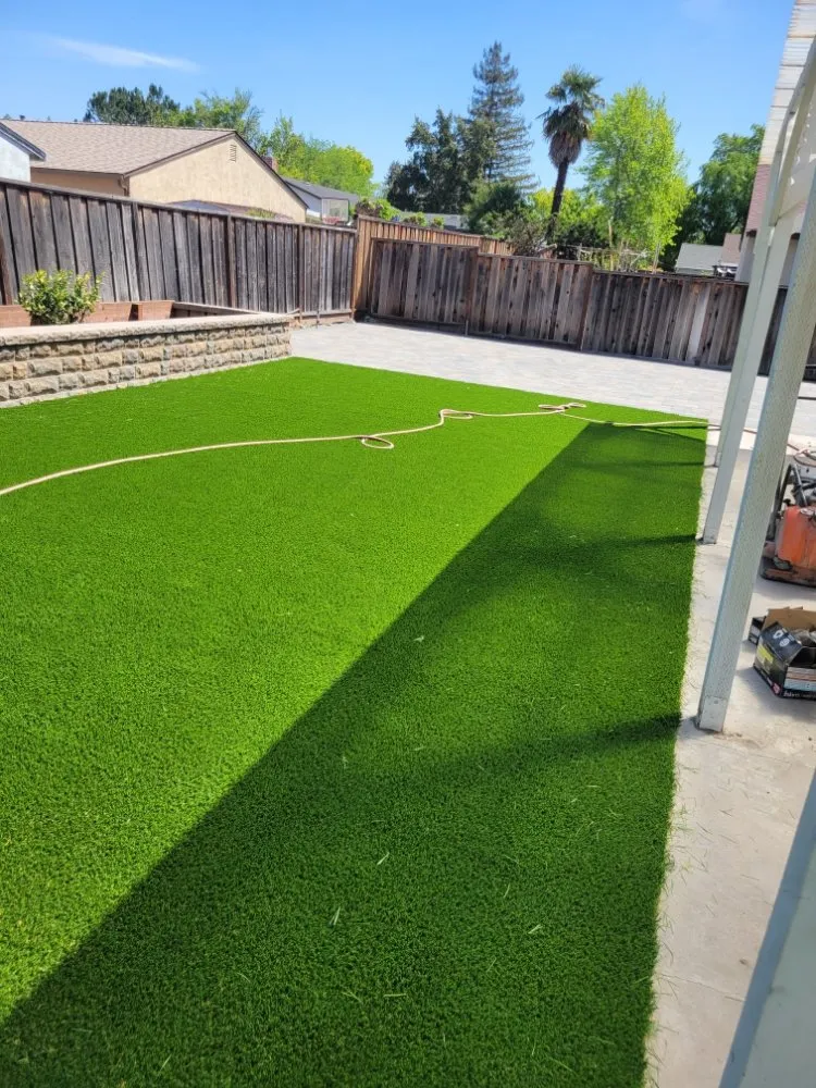 Trusted yard cleanup service near you in San José, CA by Soriano Home Improvements