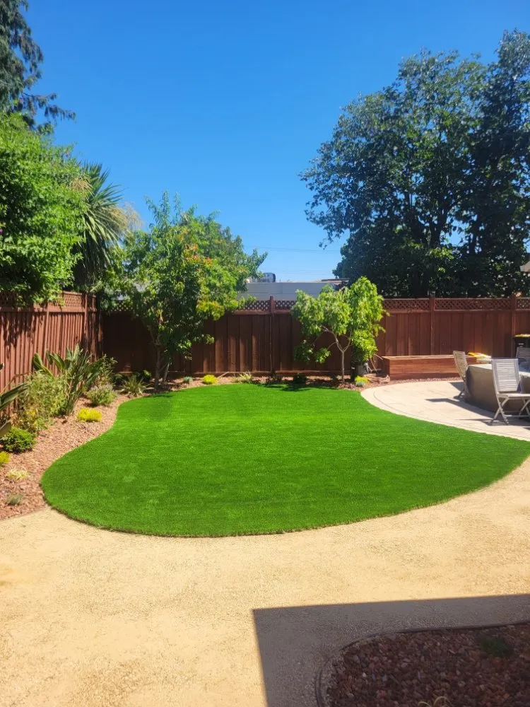 Top-rated yard cleanup service in San José, CA - Soriano Home Improvements