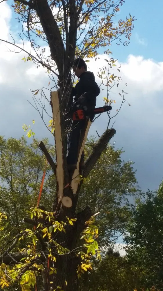 Top-rated yard maintenance in Anderson, IN by Soriano Landscape