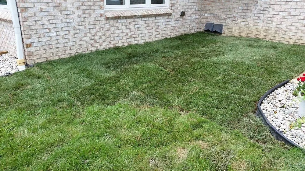 Reliable landscape installation for outdoor upgrades across Anderson, IN - Soriano Landscape