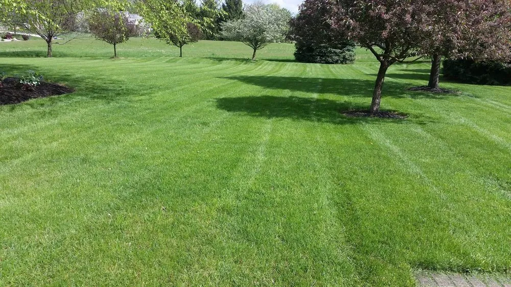 Trusted lawn mowing service with custom design across Anderson, IN - Soriano Landscape