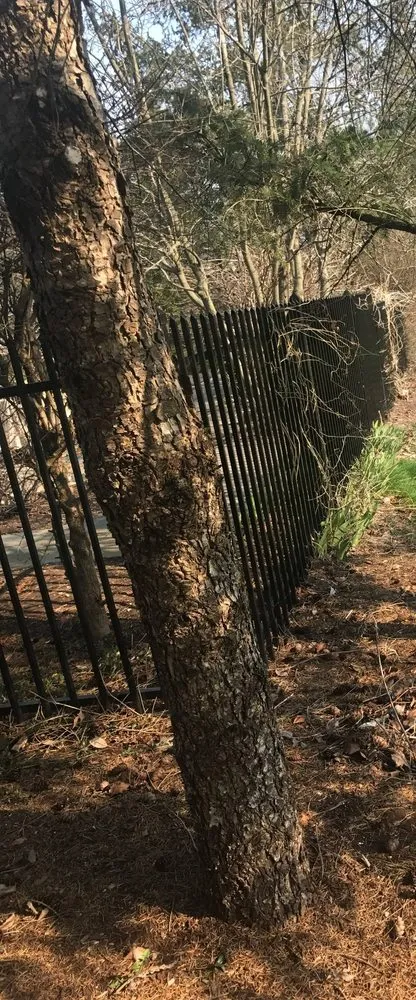 Affordable lawn mowing service in Anderson, IN - Soriano Landscape