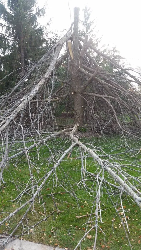 Professional landscape design experts serving Anderson, IN - Soriano Landscape