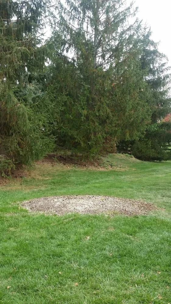 Custom lawn care service in Anderson, IN - Soriano Landscape