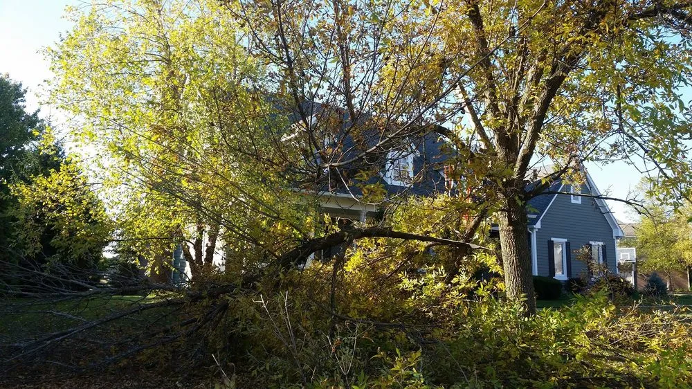 Local landscape installation for beautiful yards in Anderson, IN by Soriano Landscape