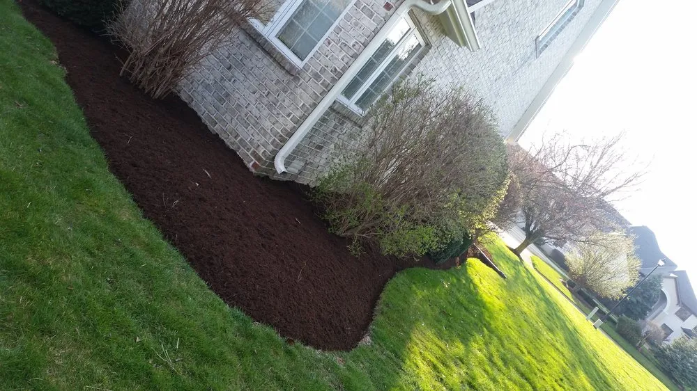 Local yard cleanup service experts serving Anderson, IN - Soriano Landscape