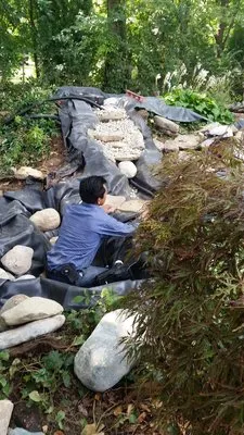 Soriano Landscape Logo