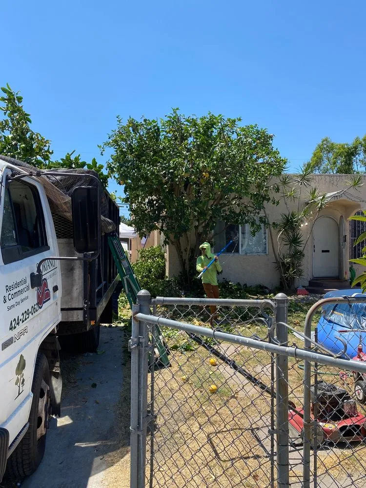 Expert garden landscaping near you across Compton, CA - Soriano Landscaping and Tree Service