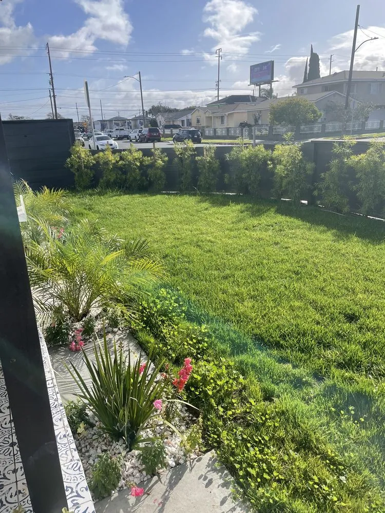 Trusted outdoor landscaping near you across Hawthorne, CA - Soriano Landscaping And Tree Service