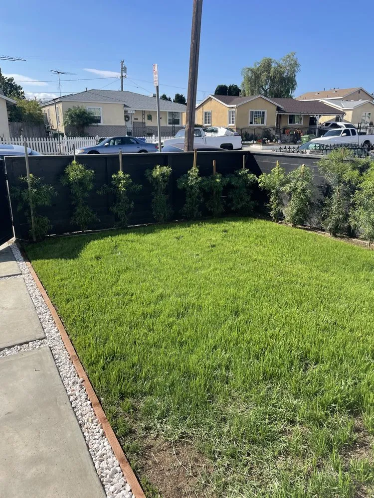 Reliable garden landscaping for year-round maintenance across Hawthorne, CA - Soriano Landscaping And Tree Service