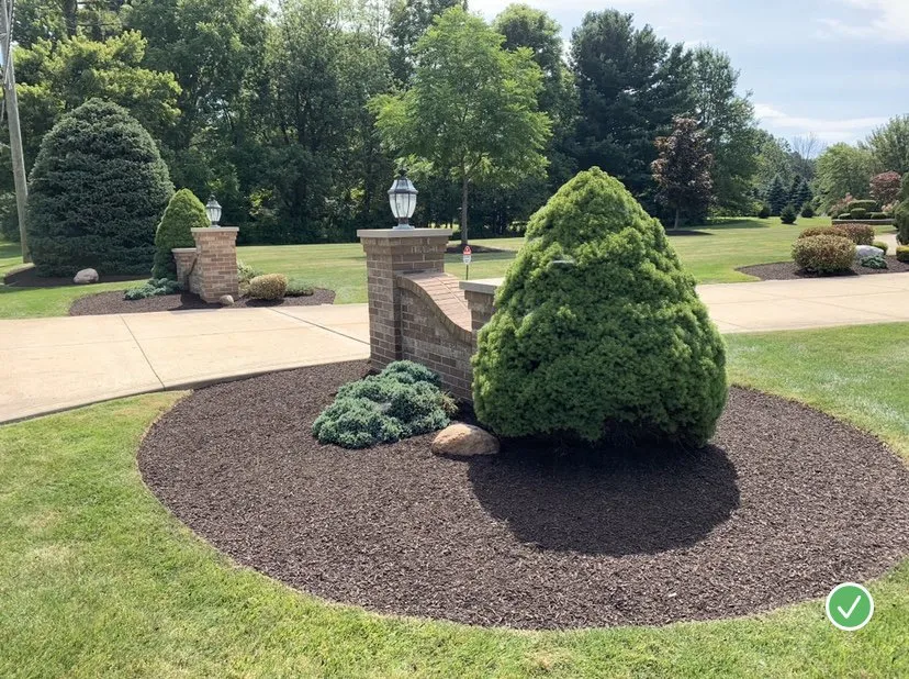 Local yard maintenance near you in Highland Heights, OH by Soriano Landscaping