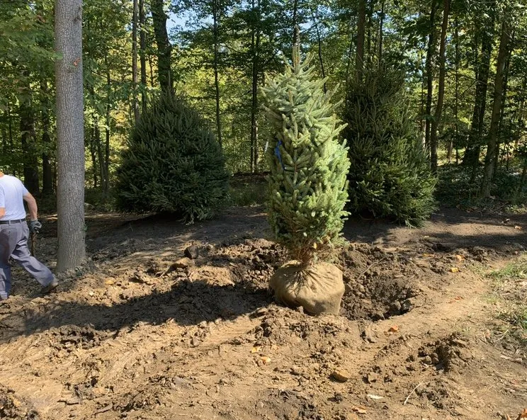 Affordable lawn care service in Highland Heights, OH - Soriano Landscaping