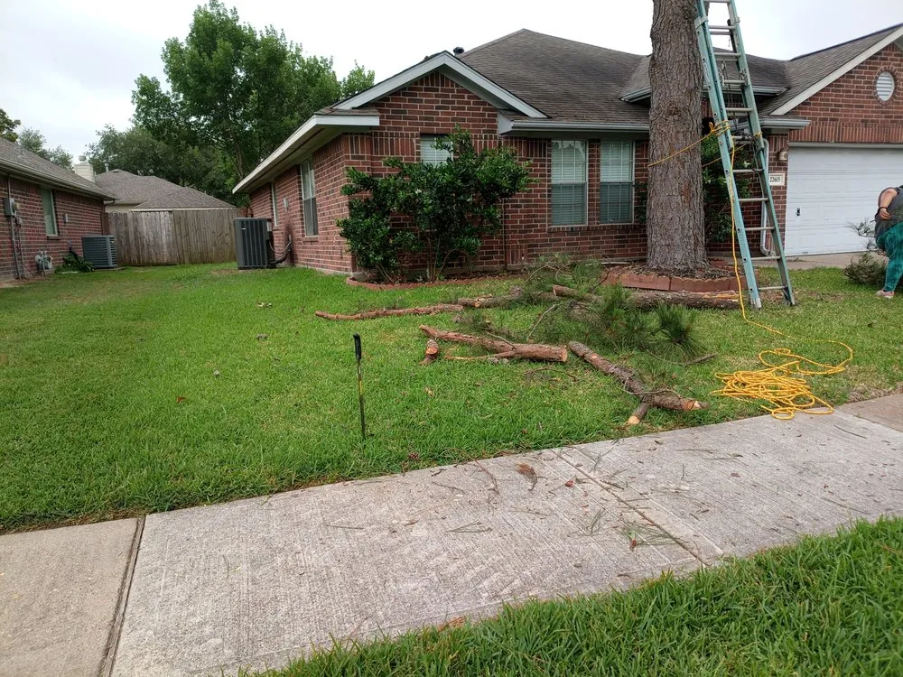 Expert garden landscaping experts serving Houston, TX - Soriano Multiservices