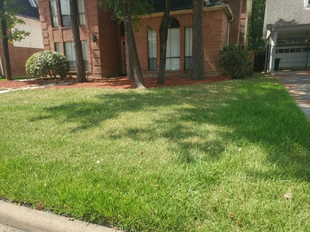 Local yard maintenance experts serving Houston, TX - Soriano Multiservices