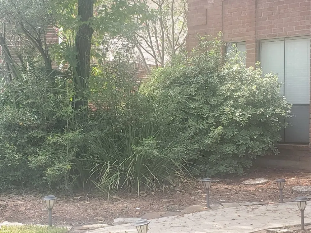 Expert outdoor landscaping experts serving Houston, TX - Soriano Multiservices