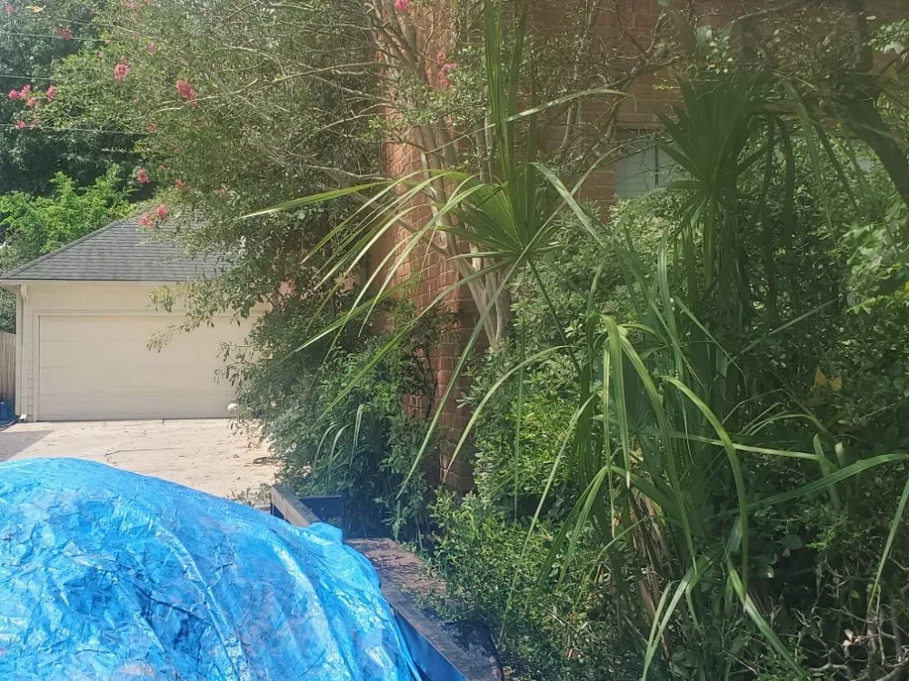 Expert landscape design for outdoor upgrades across Houston, TX - Soriano Multiservices