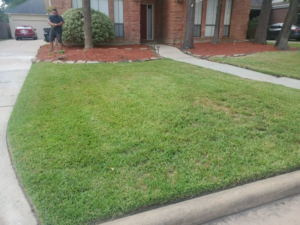 Affordable landscape installation in Houston, TX - Soriano Multiservices