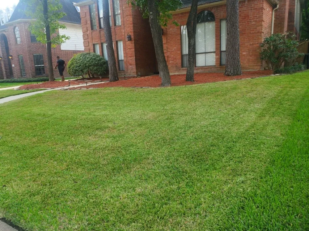 Professional lawn care service in Houston, TX - Soriano Multiservices