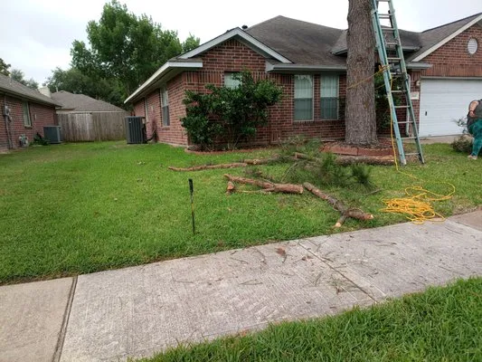 Soriano Multiservices Logo