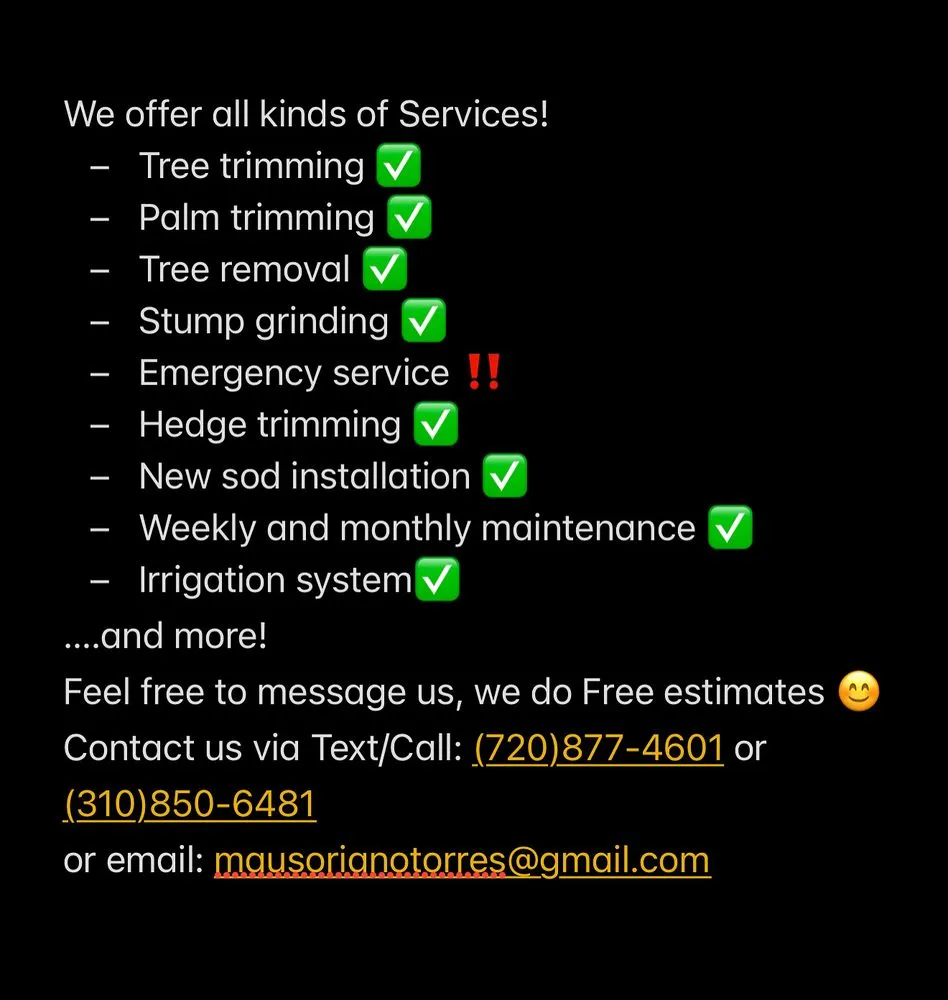 Local landscape installation for beautiful yards in Los Angeles, CA by Soriano’s Tree Services & Landscaping