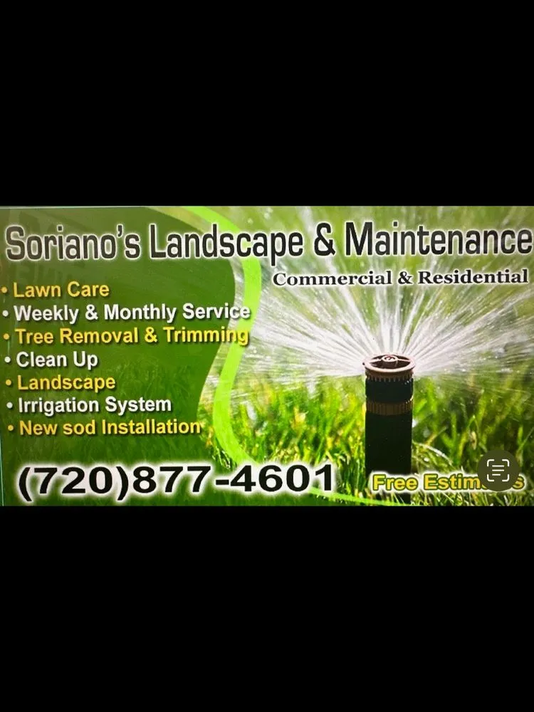 Affordable lawn mowing service in Los Angeles, CA by Soriano’s Tree Services & Landscaping