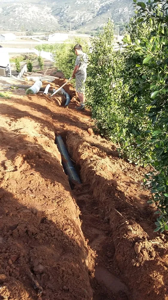 Local yard cleanup service in Ramona, CA - Soria's Landscaping and Maintenance