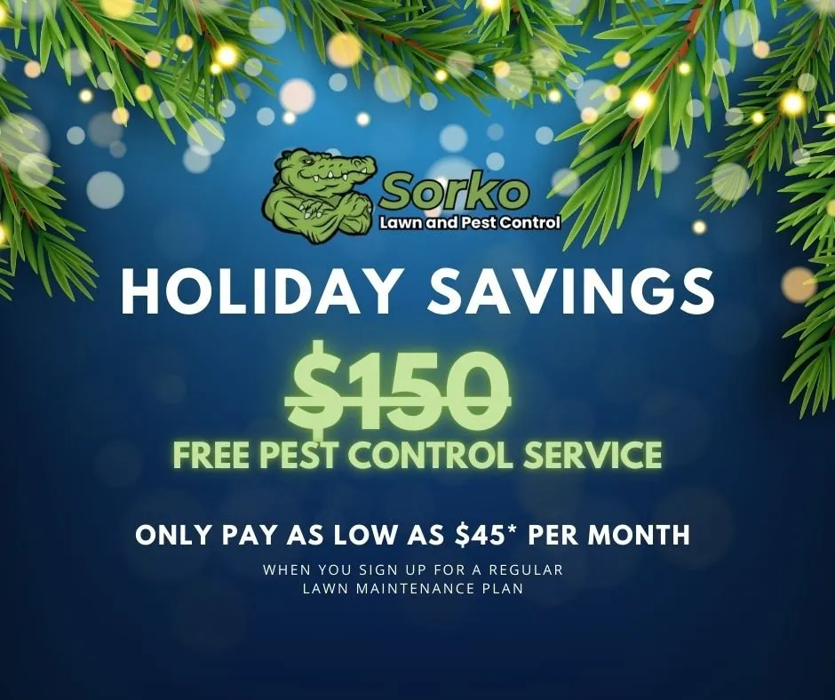 Local landscape installation experts serving Sanford, FL - Sorko Lawn and Pest Control