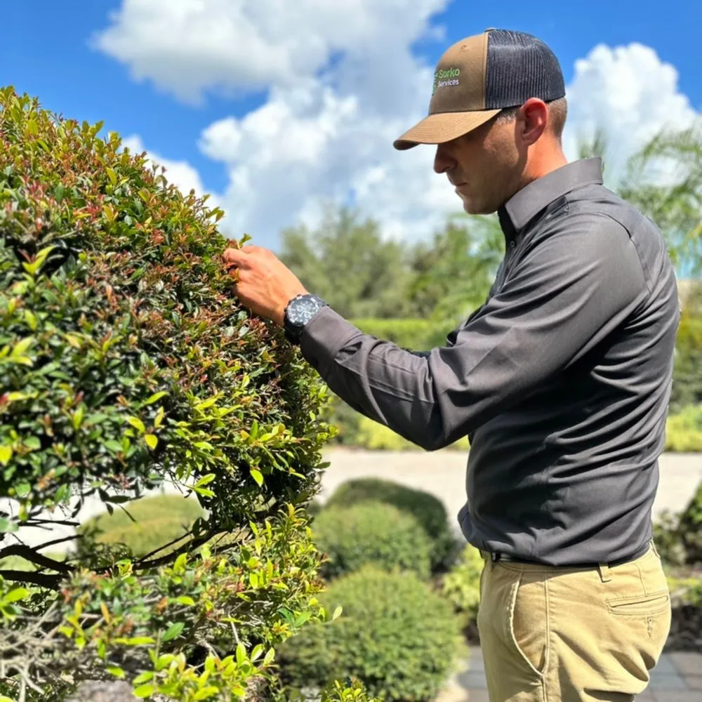Affordable yard cleanup service for homes across Sanford, FL - Sorko Lawn and Pest Control
