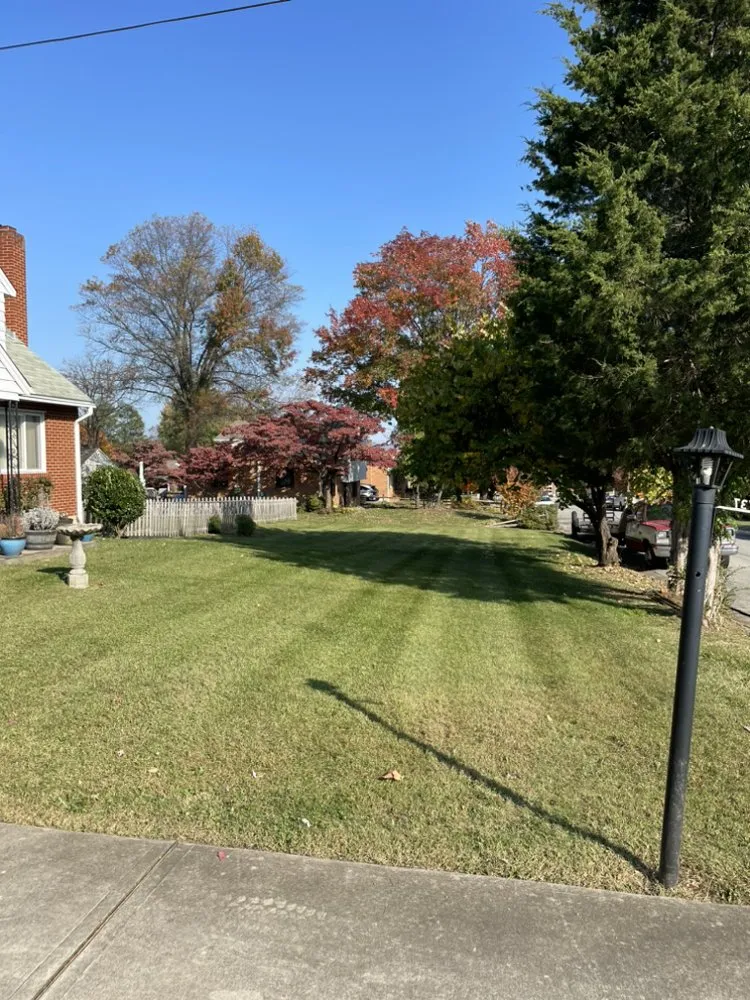 Trusted yard cleanup service experts serving Boones Mill, VA - Sorrells Lawn Maintenance