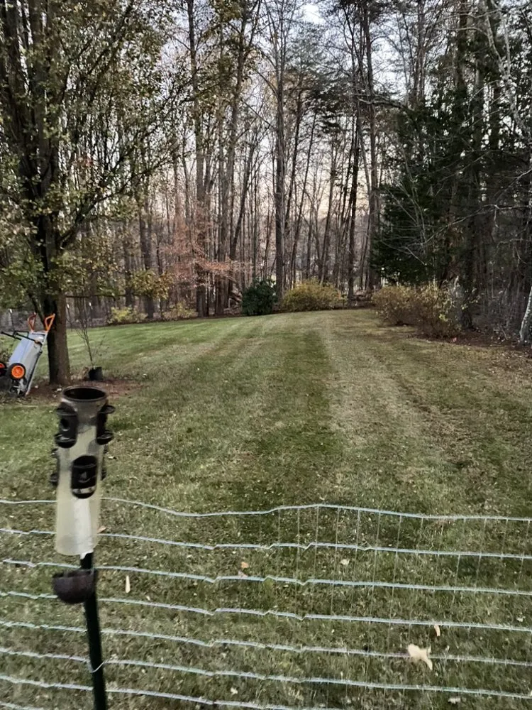 Expert garden landscaping in Boones Mill, VA - Sorrells Lawn Maintenance