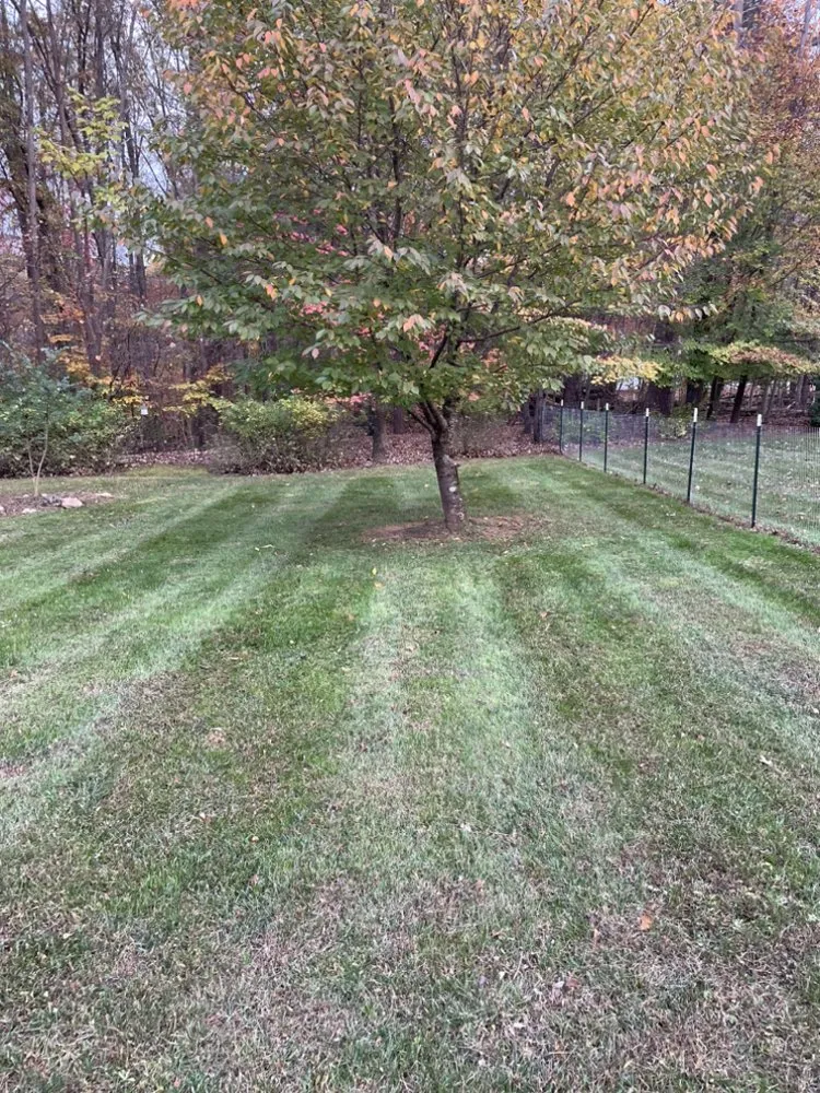 Expert lawn care service for outdoor upgrades across Boones Mill, VA - Sorrells Lawn Maintenance