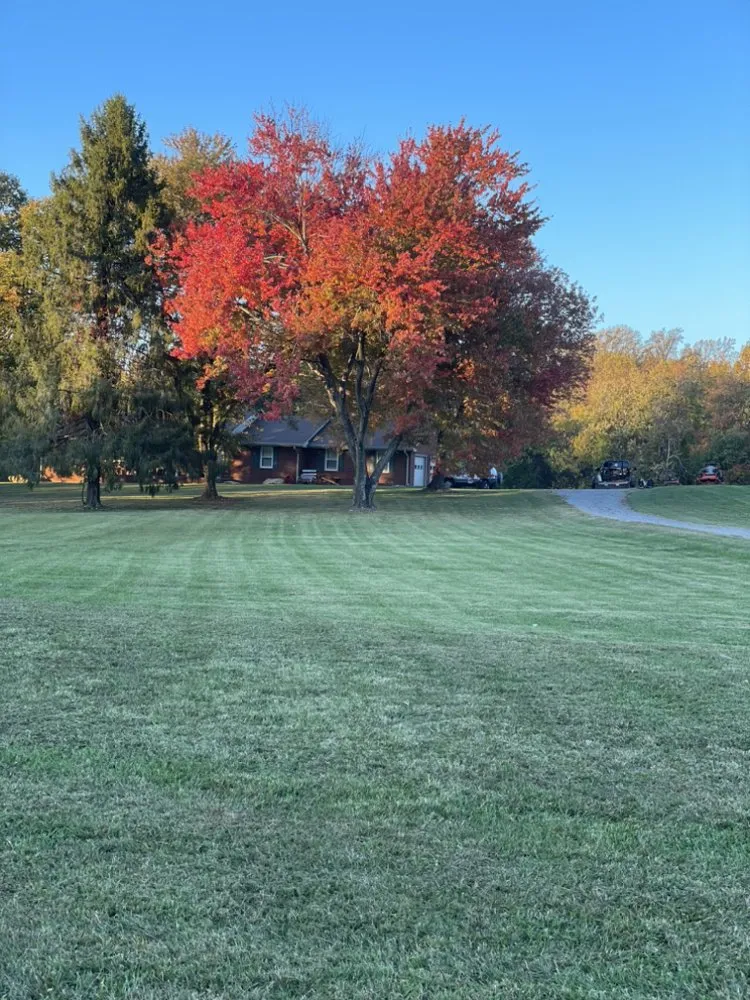 Affordable landscape installation experts serving Boones Mill, VA - Sorrells Lawn Maintenance