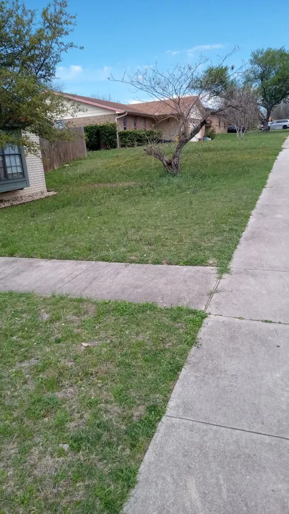 Top-rated yard maintenance for outdoor upgrades in Killeen, TX by Sorrells&son Lawncare